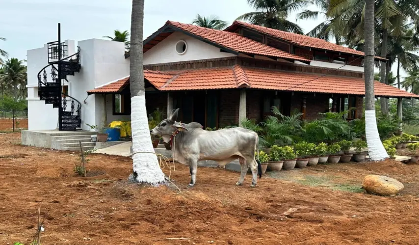 paalaar-sangamam-1