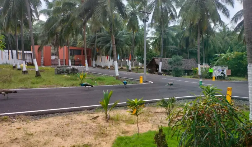 plots-for-sale-in-ecr-sowrem-promoters-new-3