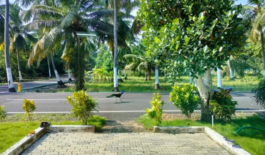 plots-for-sale-in-ecr-sowrem-promoters-new-4
