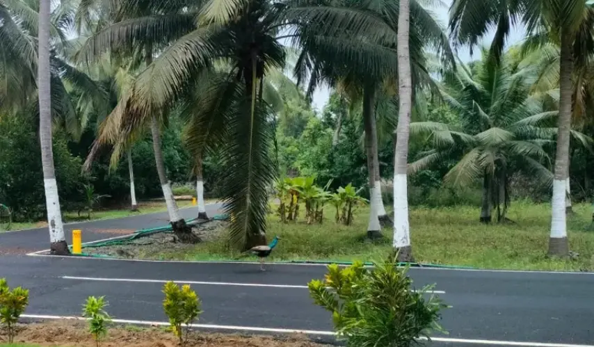 plots-for-sale-in-ecr-sowrem-promoters-new-9
