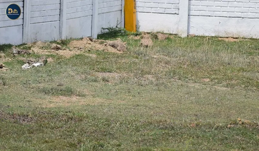 plots-for-sale-in-guduvancheri-maruthi-avenue-6