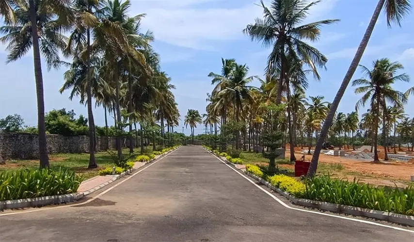 plots-for-sale-in-thaitur-urban-tree-sapphire-gardens-6